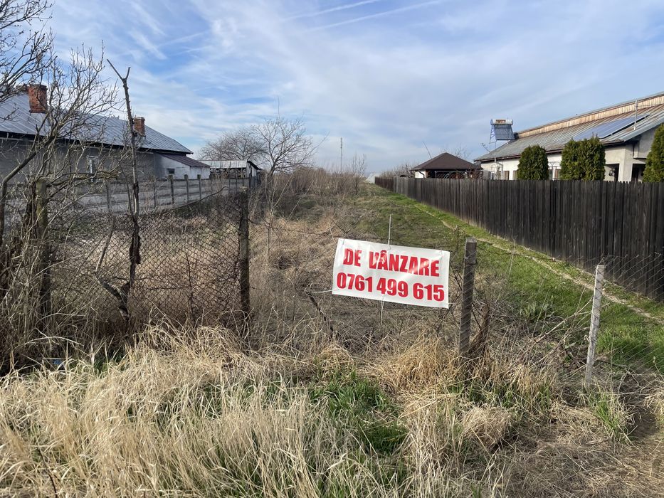 Teren  Plesoiu(Arcesti Cot)- Gazele vis-a-vis