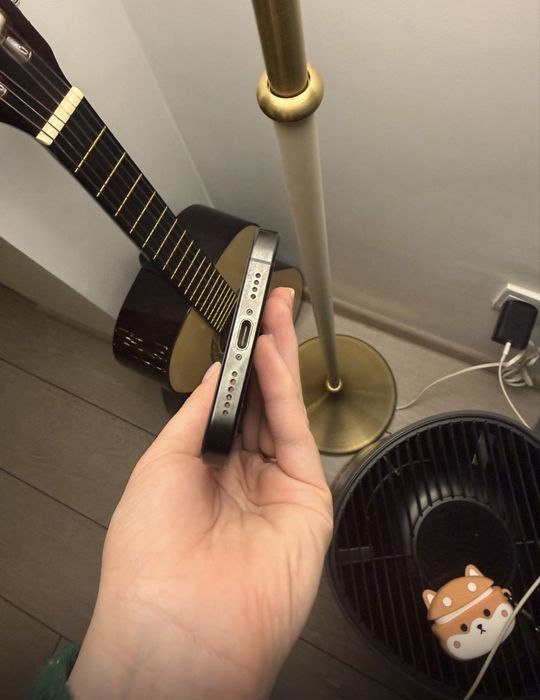 Iphone 16 Pro Max / 256 / 100% / Black / Cutie + Inarcator