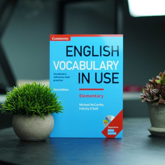 English grammar in use book essential grammar in use