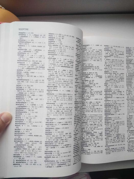 Френско-арабски речник Larousse