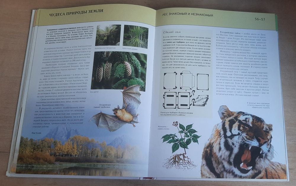 Продам книгу за 1800тг.