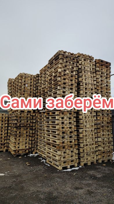 Скупаем поддоны паллеты круглосуточно по 1500