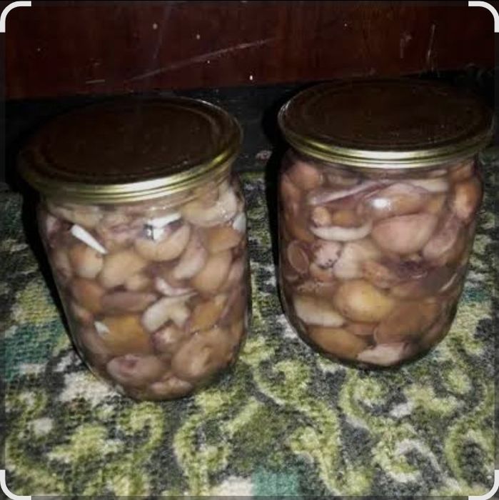 Продам грибы,маслята.