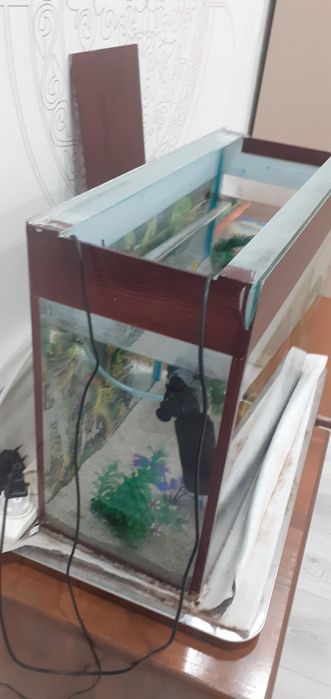 Продам аквариюм целый