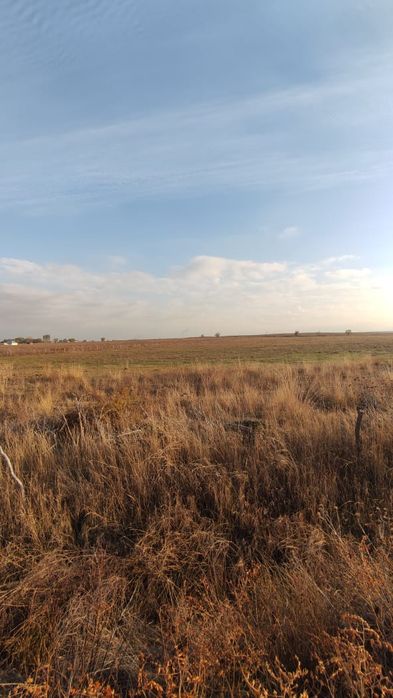 Продам Крестьянское Хозяйства