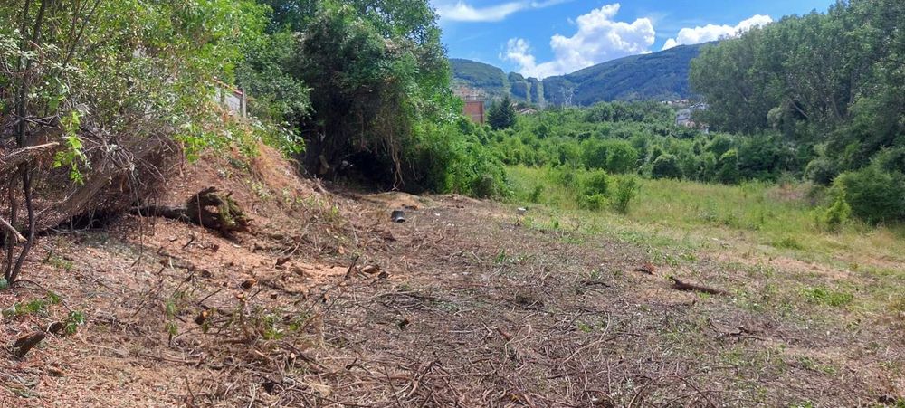 Почистване на запустели парцели и имоти