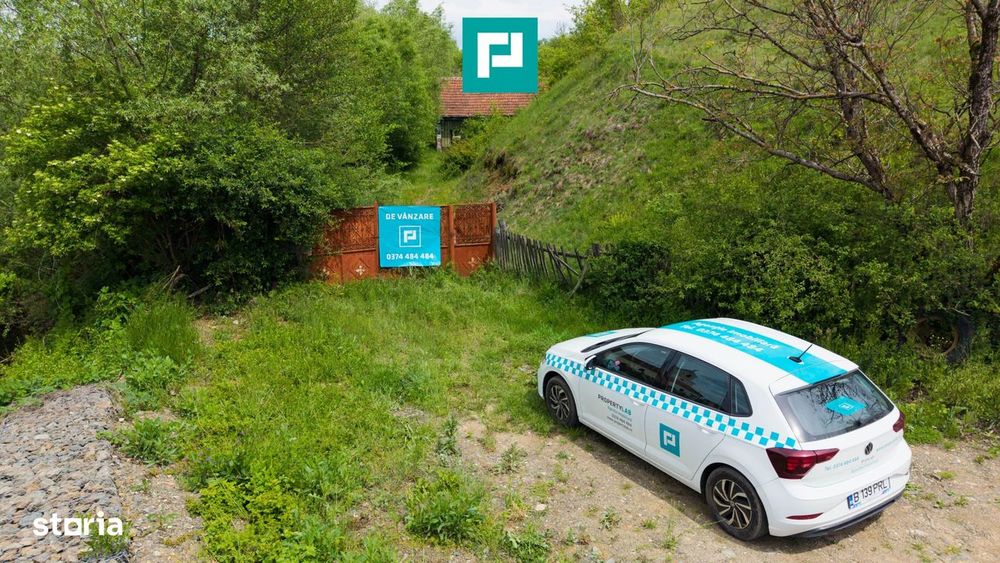 Proprietate de poveste pe Valea Mureșului, Lupești