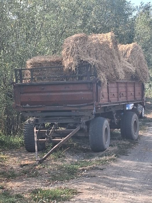 Baloti paie rotunzi