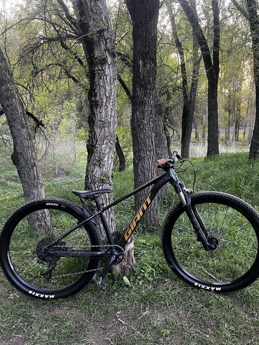 Giant talon 2 xs