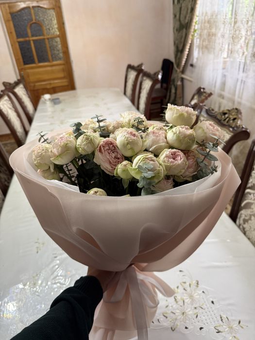Цветы, пионы свежие