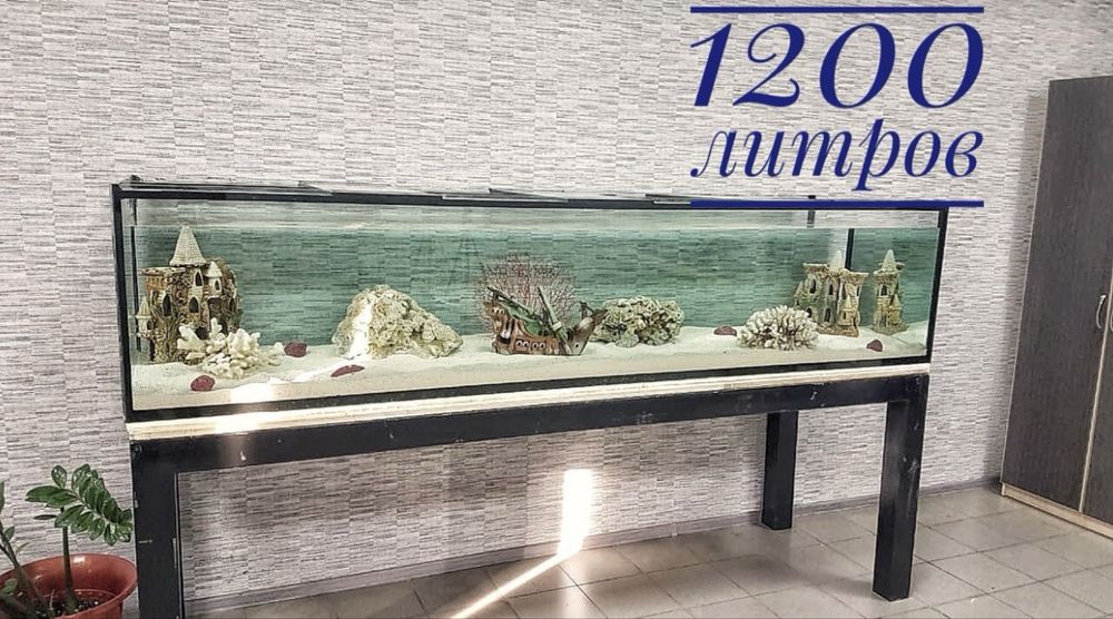Элитные Аквариумы под заказ