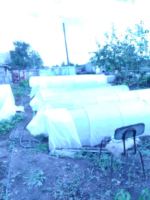 Продам дачу, без долгов