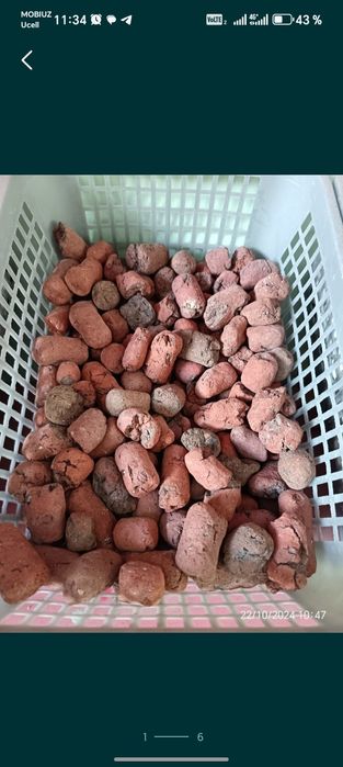 Dikorativni Lanshaft Toshlar Faqat Bizda Har Xil Turdagi Optom Narxlar