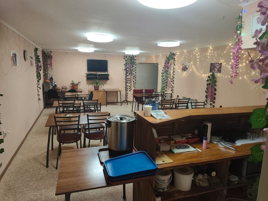 Действующий бизнес