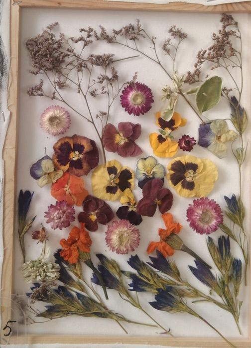 Набор сухоцветов для творчества.