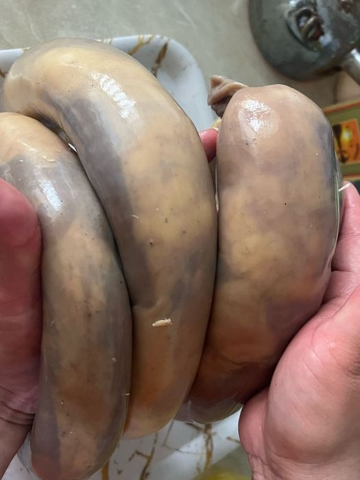 Тараздын казылары сатылады