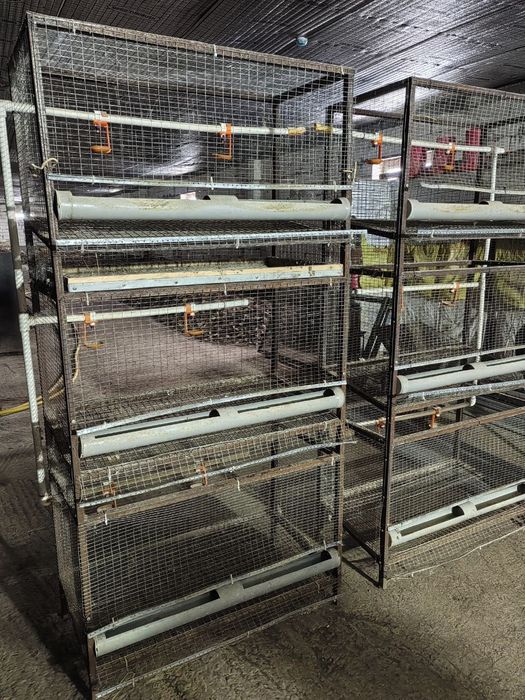 Клетки для кур / тауык клеткаси / парранда клеткаси