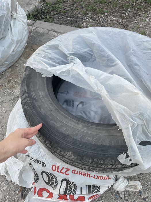 Донгелек шины продам