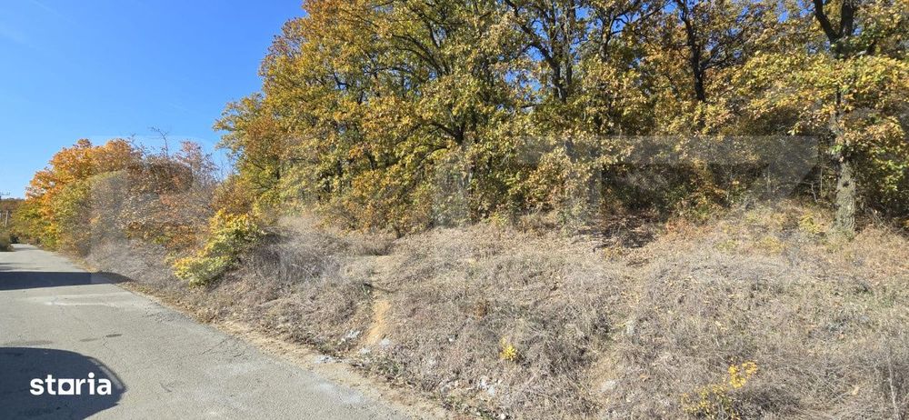 Oportunitate! 5 hectare Padure, Satul de Vacanta, parcelabil, Podari