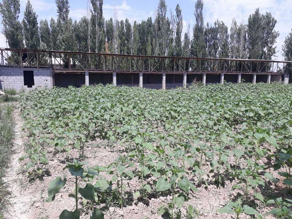 Ko'chmas mulk kafolati bilan