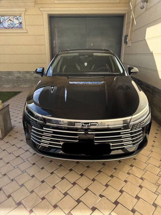 Byd chazor 120 full