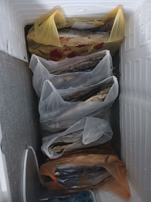 Жерех высушенный