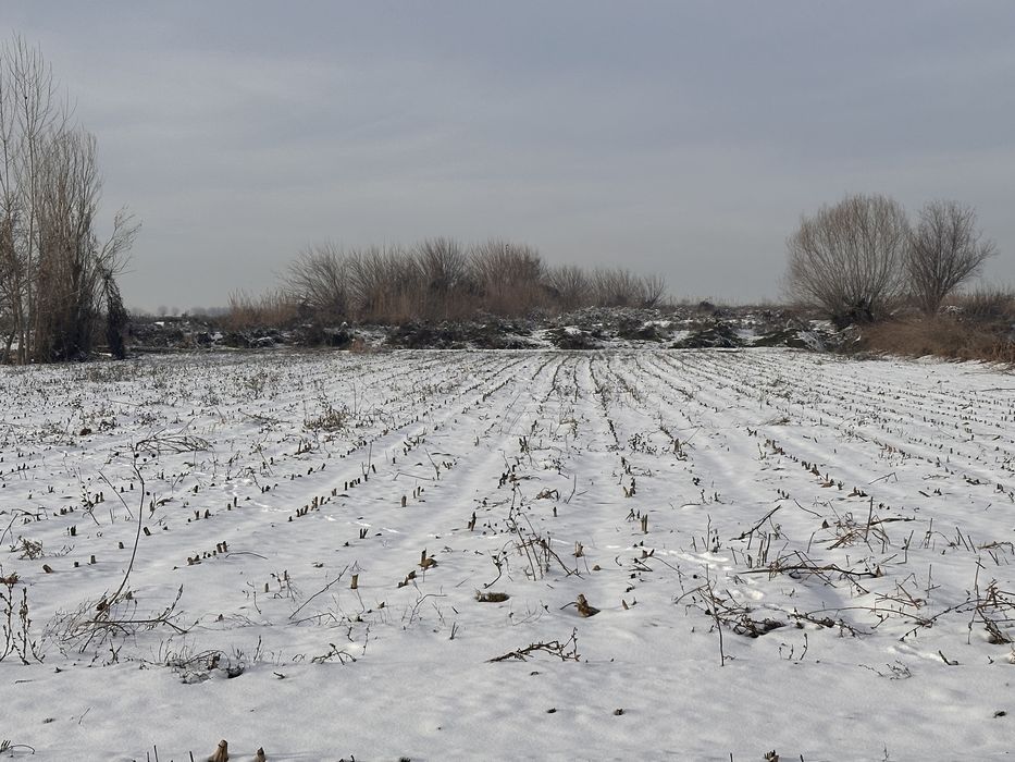 yer sotiladi maydoni 75.3 sòtik yashasa boladi