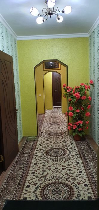 Ибнсино-2 4/8/9 свой (узимники)