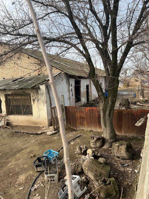 Янгиюль тумани янгиабодда ховли