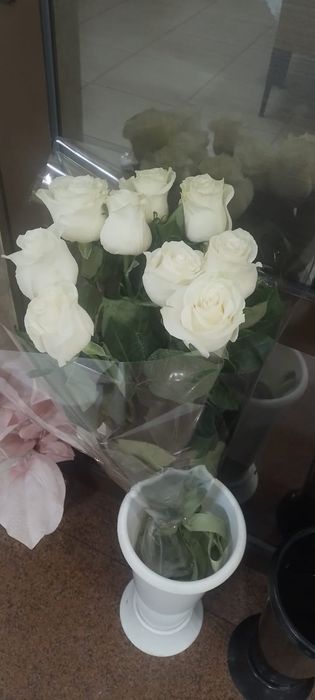 Розы белые метровые