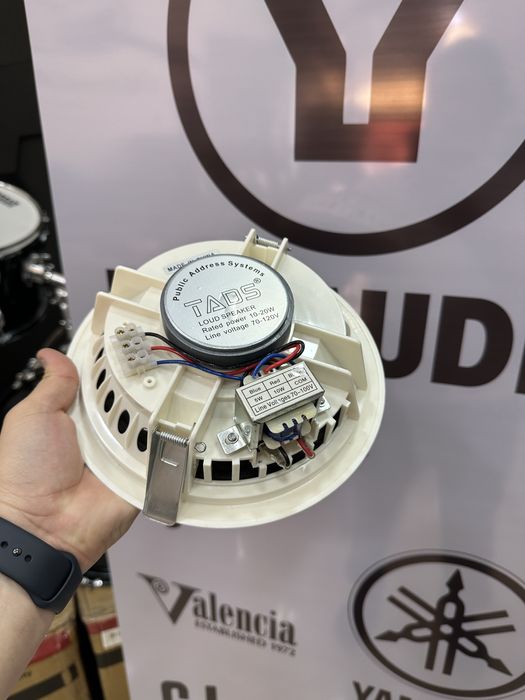 Потолочный колонка