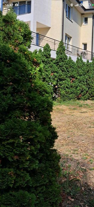 Продава се Едностаен апартамент в Казанлък - 39 кв.м за 1411 €/кв.м - Снимка #3