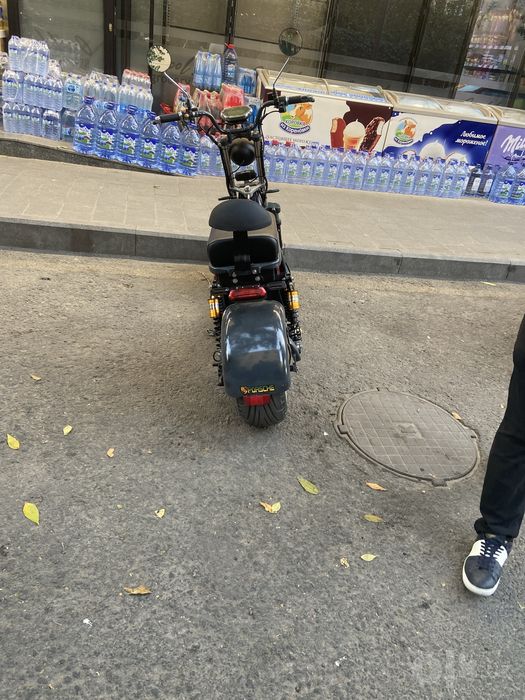 coco sity sotiladi