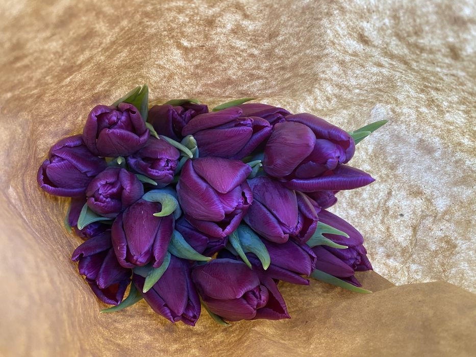 Тюльпаны из теплицы