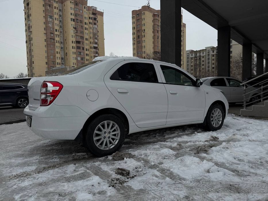 SROCHNA sotiladi oq kobalt