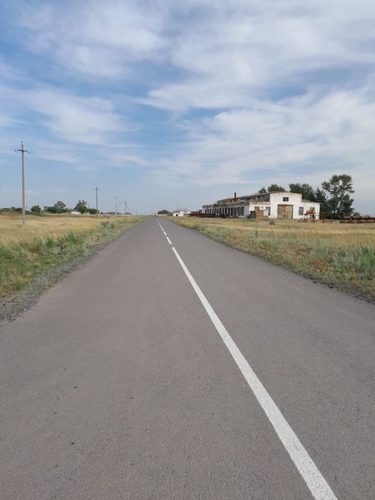 Дорожная разметка