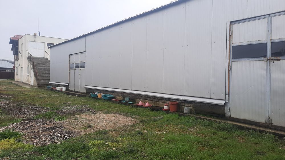 Vanzare. Rate la Proprietar. Depoz 250mp, Sp.prod.com.150mp, Casa200mp