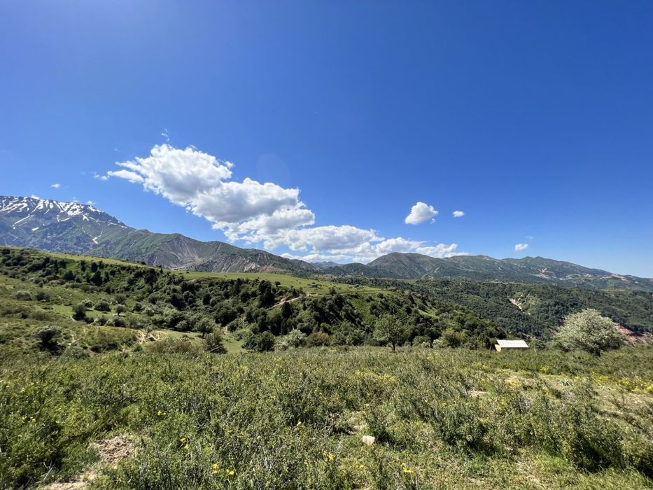 СРОЧНО! Продаётся уникальный земельный участок в горах Чимгана!