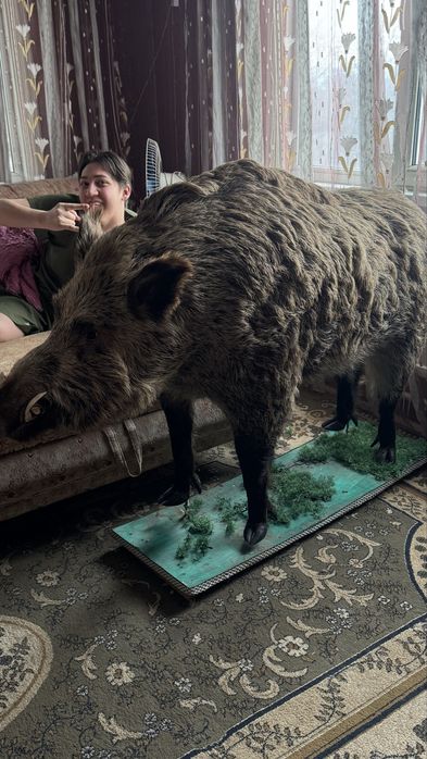 Декаративный кабан