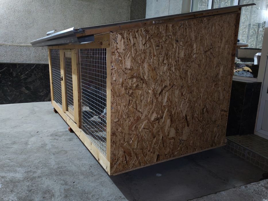 Katakxona quyon tovuq va boshqalar uchun