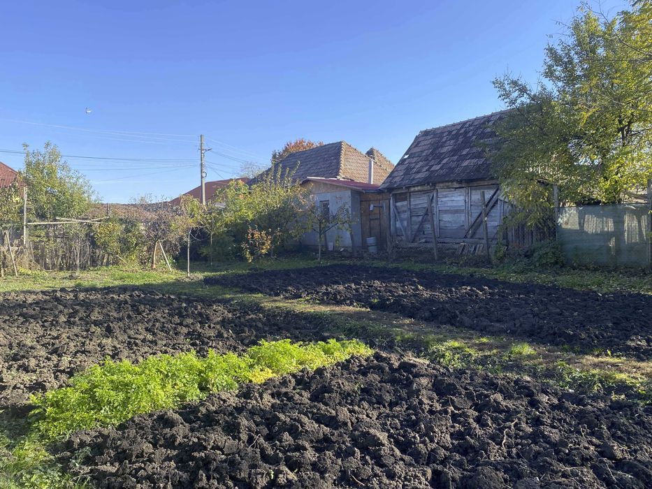 Vand teren intravilan 1100 mp cu 2 case in Chetani, Mures