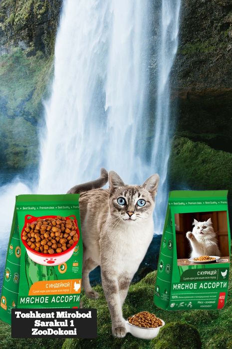 ЗООМАГАЗИН корм для Животных