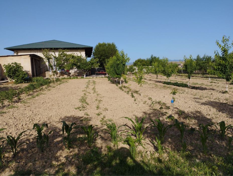 Uchaska uchastka dala hovli