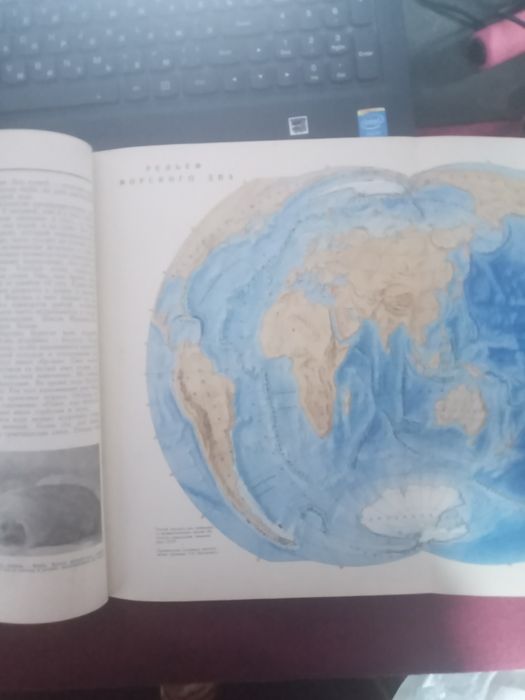 детская енциклопедия