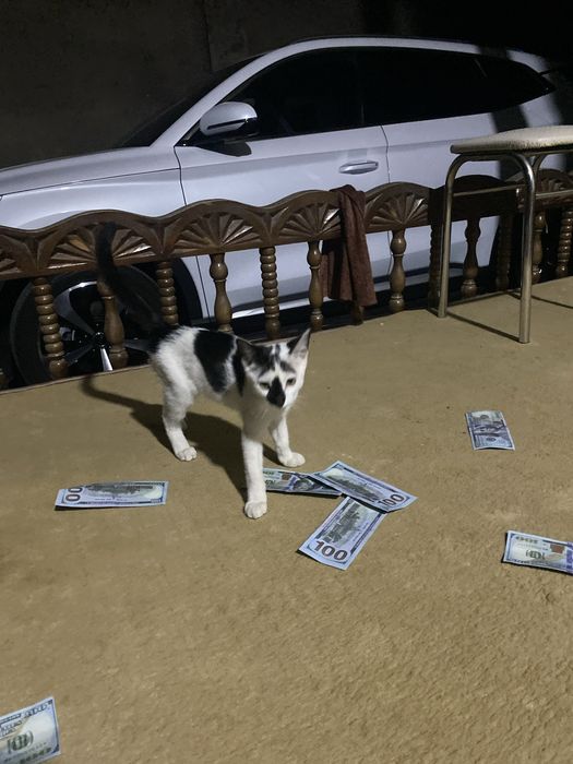 5 месяц у мальчика