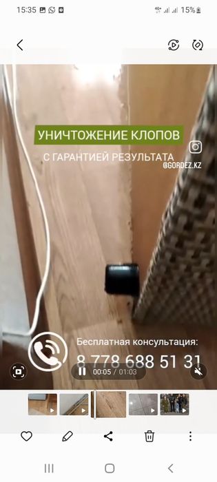Дезинфекция клопов