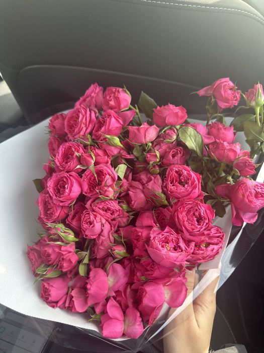 розы, свежие, цветы, красивые