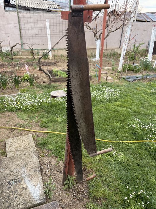 Se vinde JOAGĂR de 1,5 m