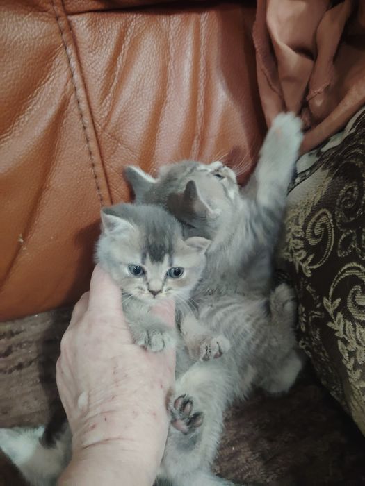 Очень милые малыши
