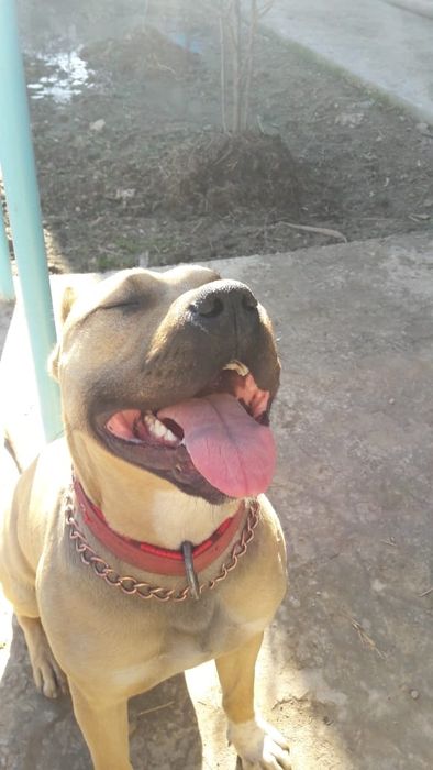 Обмен обмен обмен